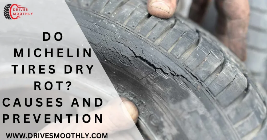 Do Michelin Tires Dry Rot Causes and Prevention