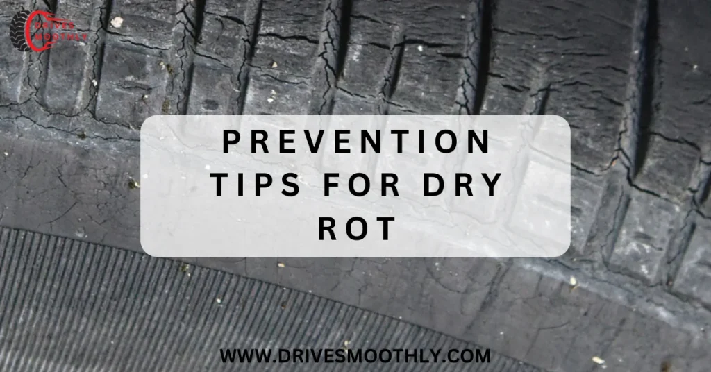 Prevention Tips for Dry Rot